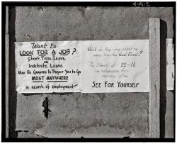 Detail of a bulletin board at the Manzanar Relocation Center, 1943. View full size. Photograph by Ansel Adams.