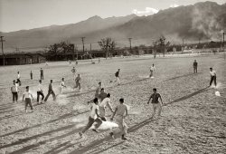 1943. Japanese-American internees at the Manzanar War Relocation Center in California. "Players involved in a football game on a dusty field, buildings and mountains in the distance. Note: Be sure and straighten horizon when printing." Medium-format nitrate negative by Ansel Adams. View full size.