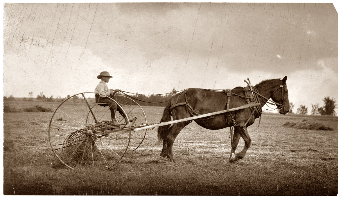 "Eight-year old Jack driving horse rake. A small boy has difficulty keeping his seat on rough ground and this work is more or less dangerous." August 1915, western Massachusetts. View full size. Photograph by Lewis Wickes Hine.
