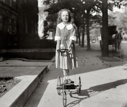 Washington, D.C., circa 1920. "Mary Dixon Palmer." Daughter of the attorney general. National Photo Company Collection glass negative. View full size.
Skate park!That is a whole lot of gear for a skateboard. Guess they had trouble making tiny wheels.
Look Ma, No Helmet!Life was sublimely carefree before the advent of crash-test dummies.
Don&#039;t underestimate herThe 1921 annual report of the Smithsonian Institution reports that Mary Dixon Palmer had donated an alligator to the National Zoo. It does not disclose how she acquired the alligator in the first place.  
Move, MOVE!Mary Dixon Palmer, daughter of the attorney general, stands waiting for someone to invent the Segway. 
Cute KidI'll bet she grew up to be a attractive woman. 
My daddyis against tort reform!
Soon bound for EuropeFrom the Gettysburg Times:
GROTON, CONN., Aug.30 [1923] -- A. Mitchell Palmer, of Philadelphia, former Attorney-General in President Wilson's Cabinet, and Mrs. Margaret Fallen Burrall, widow of John B. Burrall, a New York manufacturer, were married yesterday . . . .
A short trip to the New England States, accompanied by Mr. Palmer's daughter, Mary Dixon Palmer, was planned, with an extended automobile tour of Europe, leaving New York on the Olympic September 8.
Mr. Palmer's first wife died two years ago.
Miss Palmer WedsMary Palmer was frequently mentioned in the Society Pages in the early 1920s but the details of who had tea with who and where people were vacationing are too trivial for even me to wade through.  Far more interesting to me is her well-heeled education - hopefully the benefits of which were not wasted after her marriage. 



Washington Post, Sep 16, 1934 


Mary Palmer Becomes Bride at Stroudsburg

The marriage of Miss Mary Dixon Palmer and Mr. David Lichtenberg, of Mount Vernon, N.Y., took place yesterday at 12 o'clock noon at the residence of the bride's father, Mr. A. Mitchell Palmer, 712 Thomas street, Stroudsberg, Pa. …  Miss Palmer, who had no attendants, wore her mother's wedding dress of ivory-colored ribbed silk, trimmed with the real lace always worn by the brides in her mother's family. ...
The bride is the only daughter of former Attorney General Mr. A. Mitchell Palmer, of Stroudsberg and Washington.  She is a graduate of the National Cathedral School in Washington and of Swarthmore College.  She has also taken post-graduate courses at Columbia University and at Oxford, England.  she is a member of Kappa Alpha Theta at Swarthmore, and was prominent in all college activities. …

BlammoThis pic was taken just a year after an Italian assassin blew himself up in front of Mary's house, trying to kill Daddy:
http://washingtonhistory.com/ScenesPast/images/SP_0801.pdf
Damned trippy wickets...."The bombing occurred in front of the home of U.S. Attorney General Alexander Mitchell Palmer, who had been the intended recipient of the package bomb, which in all likelihood would have been successful if the bomber had not tripped on a series of iron wickets lining the front entrance of the home, blowing himself and his identity into thousands of pieces."
Daddy&#039;s Little GirlThe LOC caption info:
"Attorney General A.Mitchell Palmer and his little daughter Mary Dixon Palmer. Mary is always on the lookout for "Daddy" when he returns from a busy day at the Dept. of Justice.
Date from caption list. March 13 1920."
(The Gallery, D.C., Kids, Natl Photo)