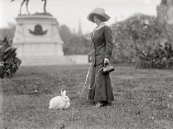 Washington, D.C., 1911. "Mrs. J.R. Band with pet rabbit." Happy Easter from Shorpy! Harris & Ewing Collection glass negative. View full size.