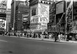 Taken in New York City on May 10, 1953 by Peter Jingeleski. View full size.
(ShorpyBlog, Member Gallery)