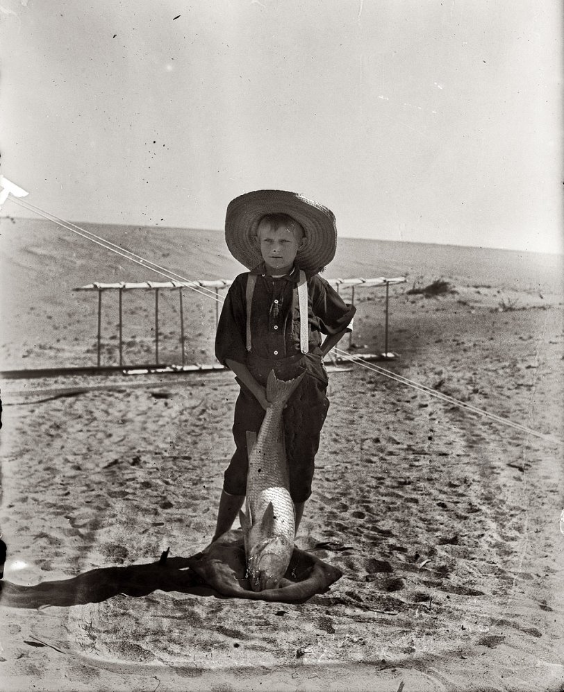 Kitty Hawk Drum Fish: 1900