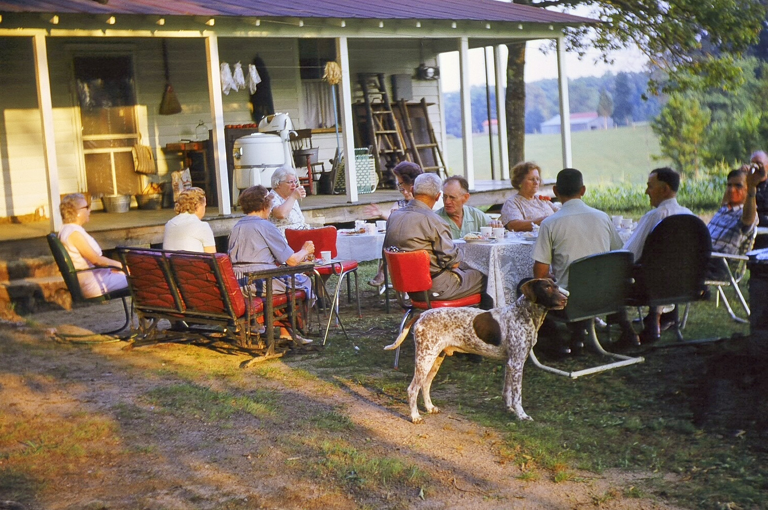 Amelia County, Virginia, in the early 1960s. Sunday dinner at the Miller house, with the farm of Marvin and Thelma Warriner in the background. Photo by Helen Warriner-Burke. View full size.