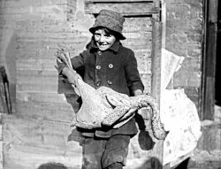 A child holding the Thanksgiving turkey. From the National Photo Company collection, 1919. View full size.