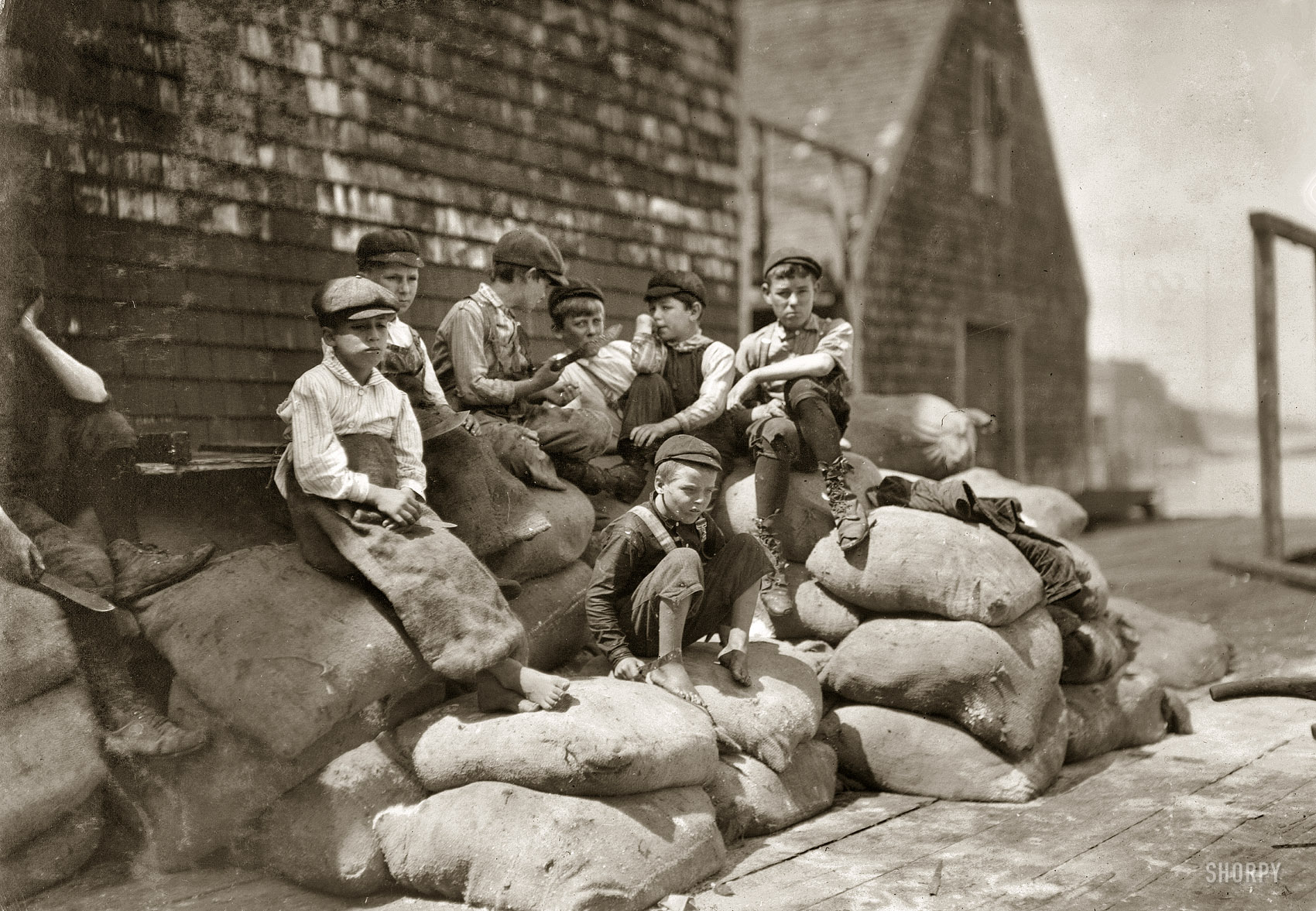 August 1911. Eastport, Maine. "Group of young cutters, Seacoast Canning Co., Factory #2, waiting for more fish. They all work, but they waste a great deal of time, as the adults do also, waiting for fish to arrive." Anyone up for a quick knife fight? Photograph and caption by Lewis Wickes Hine. View full size.