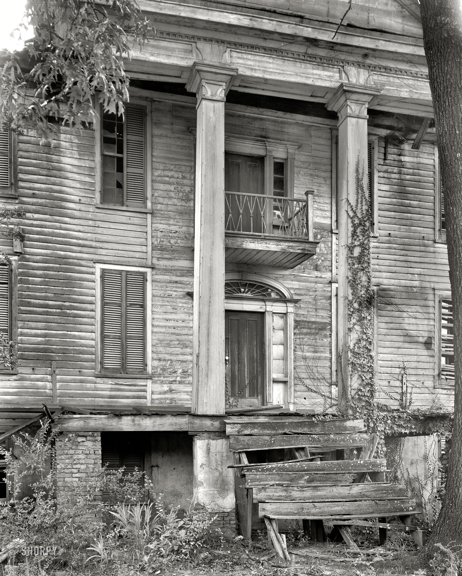 Greene County, Georgia, circa 1936. "Ruined house, Penfield vicinity." A close-up of the decaying manse seen earlier here. Tendril by creeping tendril, the vines stake their claim. 8x10 negative by Frances Benjamin Johnston. View full size.