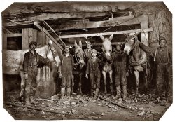 September 1908. Young mule drivers and trapper boy at the Brown Mine near Brown, West Virginia. Underground from 7 a.m. to 5:30 p.m. View full size.