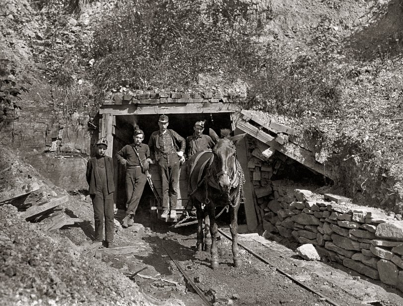 October 1908. "Drift Mouth, Sand Lick Mine, near Grafton, West Virginia. Bank boss in center, driver on his right, trapper boy outside. Alfred, about 14 years old. He trapped several years during vacation, said he is going to school this year. Asked if it were because school is more fun, he said: 'This year hain't no fun!'" Photo and caption by Lewis Wickes Hine. View full size.
