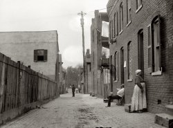 District of Columbia, 1914. "Alley clearance. Slum views." A scene that I don't imagine would have changed much since the 19th century except for the utility pole. Harris & Ewing Collection glass negative. View full size.