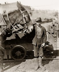 October 1908. Grafton, West Virginia. "Harry and Sallie. Driver in Maryland Coal Co. Mine near Sand Lick. Was afraid to be photo'd because we might make him go to school. Probably 12 years old." Photo by Lewis Wickes Hine. View full size.