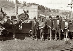 September 1908. Grafton, West Virginia. "Tipple Boy and Drivers. Maryland Coal Co. mine near Sand Lick. Boy with mule was afraid at first to be in the picture; another boy said he feared we might make him go to school." View full size. Photograph and caption by Lewis Wickes Hine.