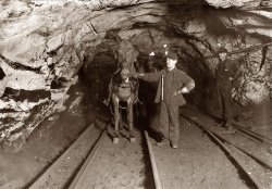 A young leader and a driver, Shaft #6, Pennsylvania Coal Company mine at Pittston. Pasquale Salvo and Sandy Castina. January 1911. View full size. Photograph by Lewis Wickes Hine.