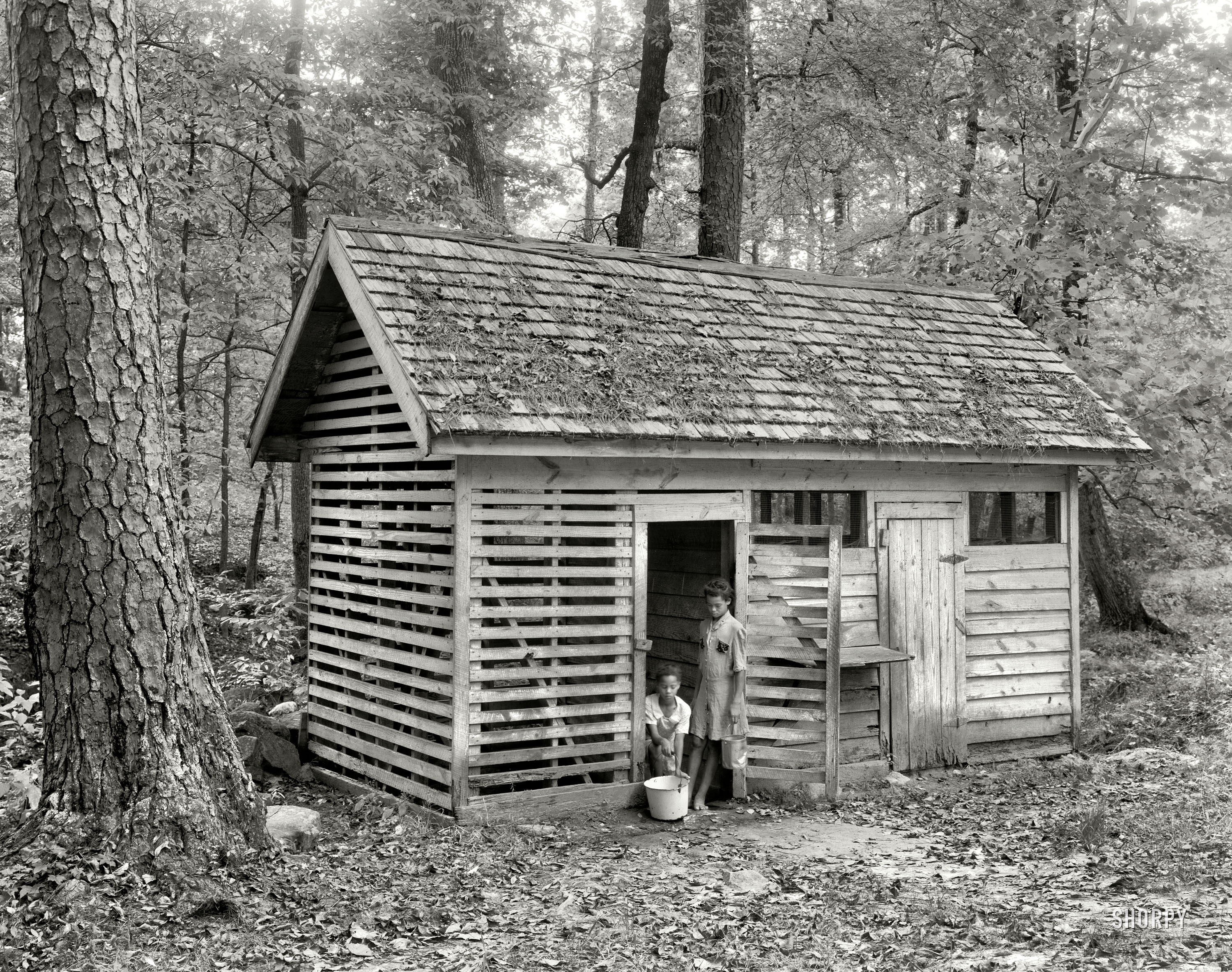 Wilkes County, Georgia, circa 1944. "Spring house, Hill Plantation. Washington vicinity." 8x10 inch safety negative by Frances Benjamin Johnston for the Carnegie Survey of the Architecture of the South. View full size.