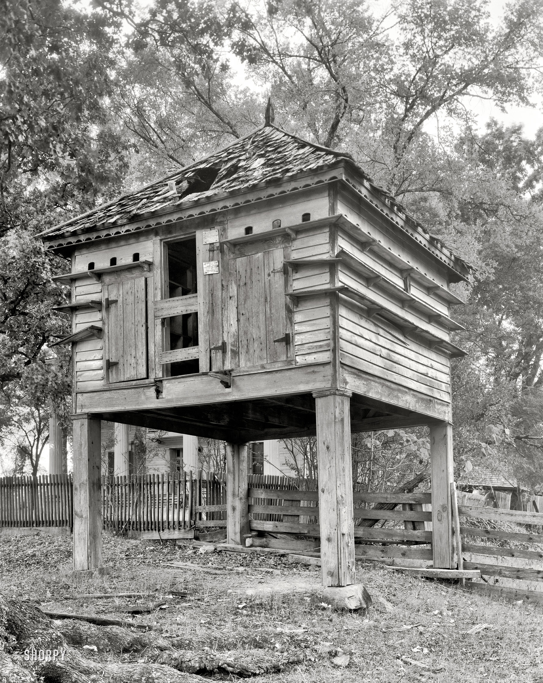 Wilkes County, Georgia, circa 1944. "Dovecote at Hill Plantation, Washington vicinity." 8x10 acetate negative by Frances Benjamin Johnston. View full size.