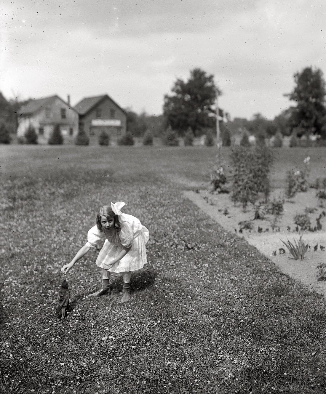 Marion Gaynor, daughter of New York Mayor William J. Gaynor, and her pet crow "Pete" circa 1910. View full size. 8x10 glass negative, George Grantham Bain Collection. Marion, an animal lover whose first of four marriages came when she was 16, died after a train hit her car at a Long Island grade crossing in 1944.