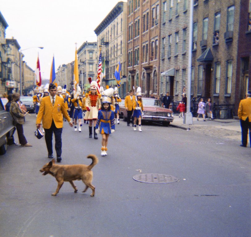 American Legion Marching Band, on Hart Street in Brooklyn, between Knickerbocker and Wilson, 1967. View full size.
