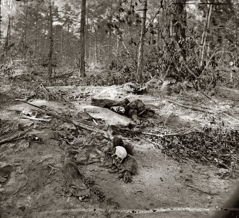 1865. "Cold Harbor, Virginia. Unburied dead on the battlefield of Gaines' Mill." Photographs from the main Eastern theater of war, the Peninsular Campaign, May-August 1862. Wet plate glass negative by John Reekie. View full size.
