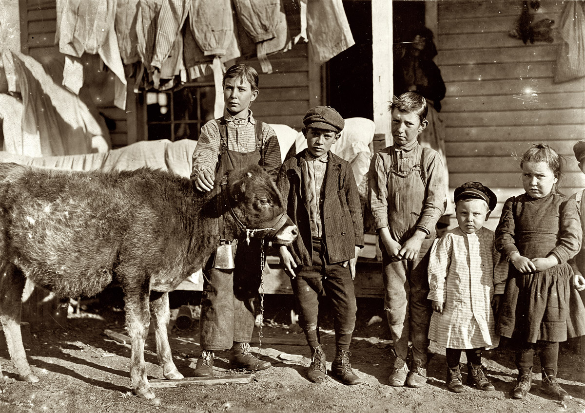 November 1908. Chester, South Carolina. Wylie Mill. Boy with calf is Pamento Benson. Raising it for beef. Has worked in mill 2 years. Mr. Benson said, "Just as soon as the boys get old enough to handle a plow, we go straight back to the farm. Factory is no place for boys." Next to Pamento is Ray Benson, "helper in the mill." Next Clarence Rost, works in mill. View full size. Photo by Lewis Wickes Hine.