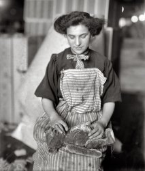 New York, 1908. "Stuffing a Teddy Bear." View full size. 8x10 glass negative, G.G. Bain Collection. One of several bear-stuffing photos from the Bain archive.
Build a BearShe'd be shocked to know that people will pay good money to do her job in another hundred years.
(The Gallery, G.G. Bain, NYC)