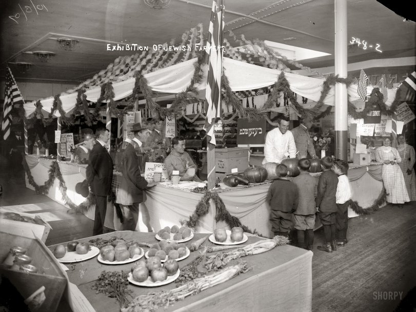 New York. October 13, 1909. The Federation of Jewish Farmers of America exhibit at the Educational Alliance building, East Broadway and Jefferson Street. 8x10 glass negative, George Grantham Bain Collection. View full size.
