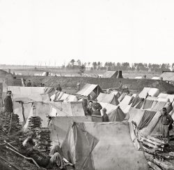 1864. "Fort Burnham, Virginia, formerly Confederate Fort Harrison, near James River. Encampment and earthworks." Wet plate glass negative. View full size.