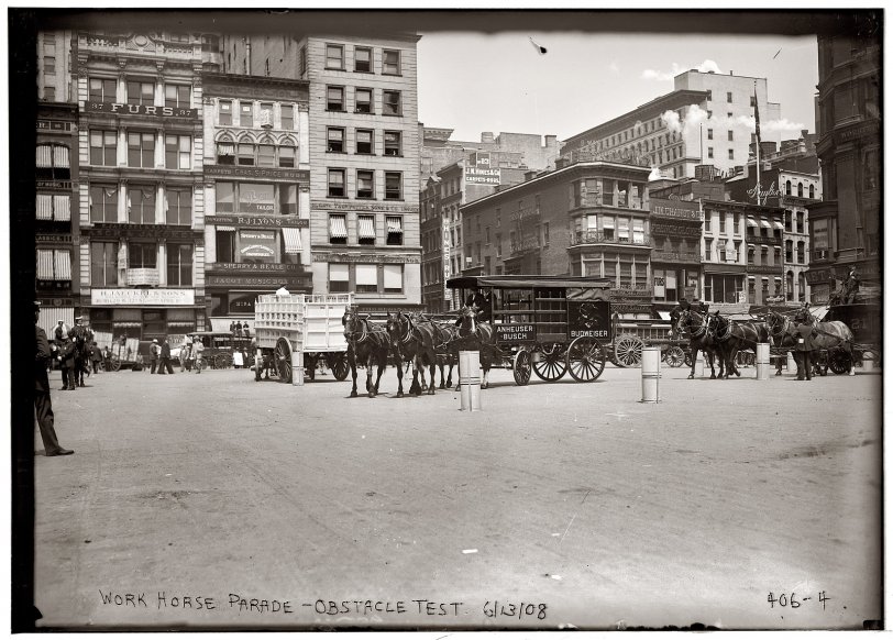 Work Horse Parade: 1908