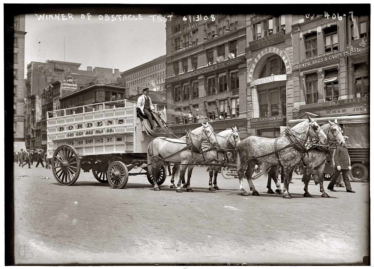 Borden team, winner of the obstacle test in the Work Horse Parade on Union Square. June 13, 1908. View full size. George Grantham Bain Collection.
