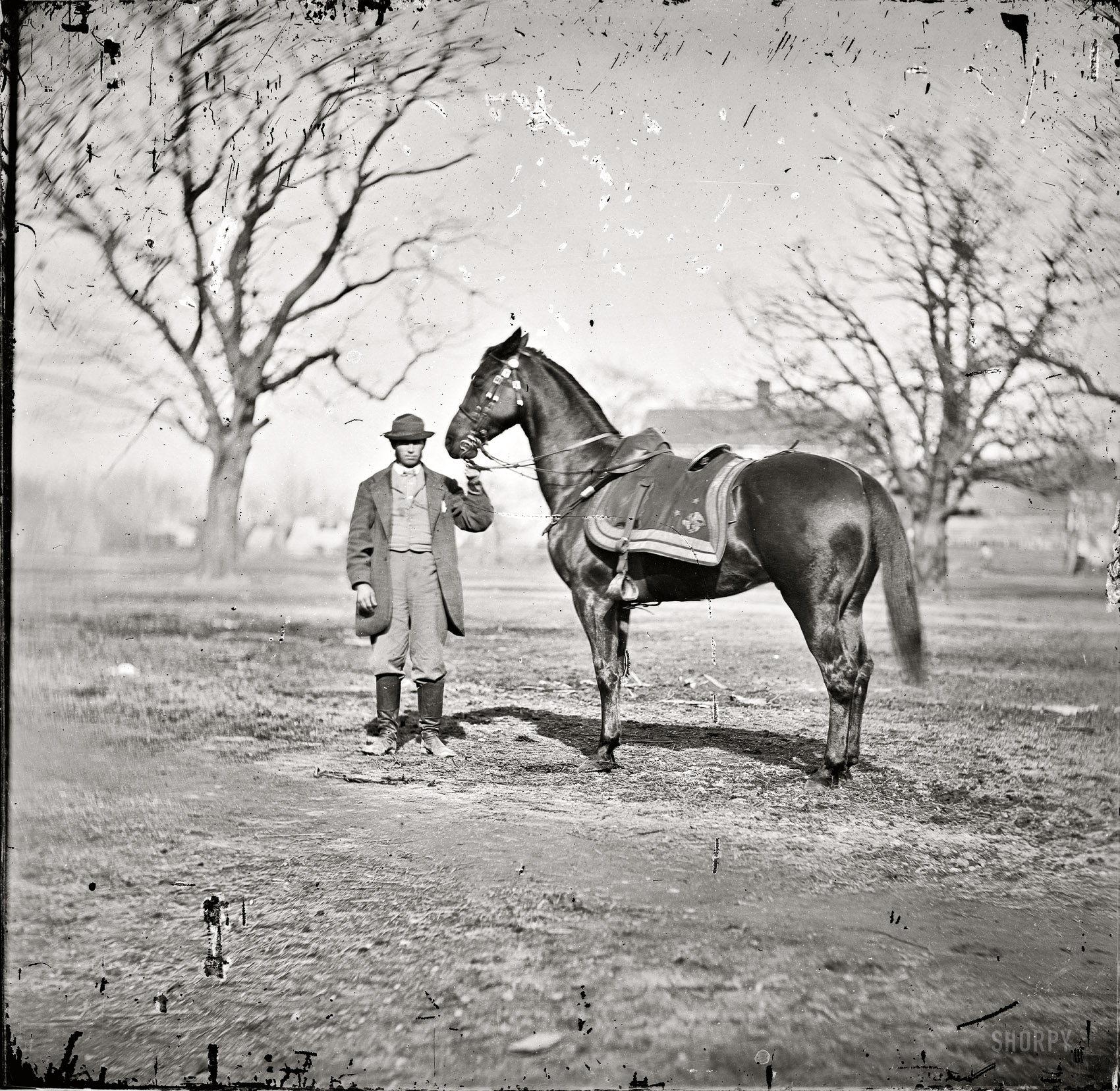 March 1865. "City Point, Virginia. General U.S. Grant's horse Cincinnati." Wet plate glass negative, left half of stereograph pair. View full size.