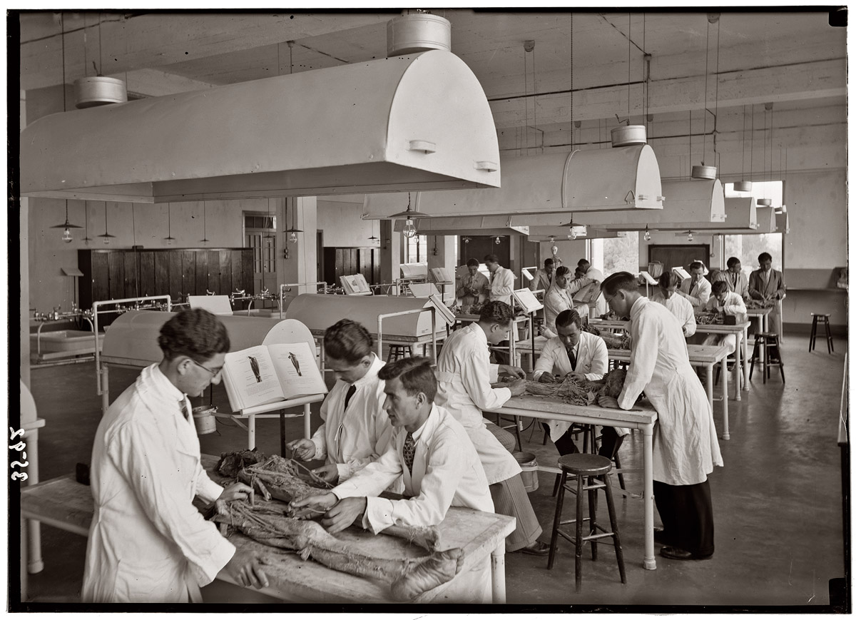 Dissection room, American University of Beirut, Lebanon. Circa 1936. View full size. American Colony of Jerusalem Photo Dept.