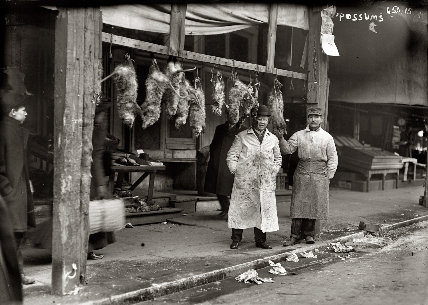 New York circa 1916. "Opossums hanging up outside shop." 5x7 glass negative, George Grantham Bain Collection, Library of Congress. View full size.
