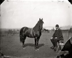 February 1864. Brandy Station, Virginia. "Headquarters, Army of the Potomac. Lt. Chas W. Wolsey with horse." Wet-plate glass negative. View full size.