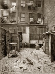 February 1912. "Rear view of tenement, 134½ Thompson Street, New York City. Makers of artificial flowers live and work here." Photograph and caption by Lewis Wickes Hine. View full size.