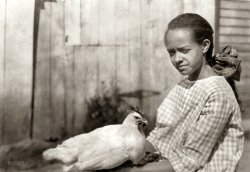 October 10, 1921. Charleston (vicinity), West Virginia. "Alice Curtis and some of her poultry." Photograph by Lewis Wickes Hine. View full size.