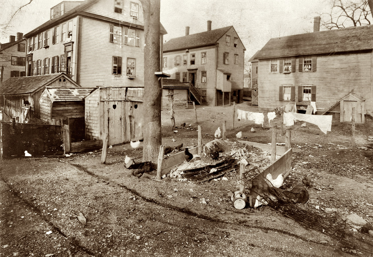 November 1912. Central Falls, Rhode Island. View of privies, garbage dumps, etc., in back yards near Bed-bug Alley and High Street. View full size. Photo and caption by Lewis Wickes Hine for the Child Welfare Exhibit of 1912-13.