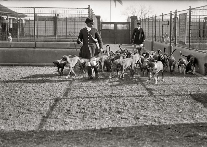 Photo of: To the Hounds: 1914 -- 