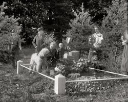 Dog Funeral: 1921