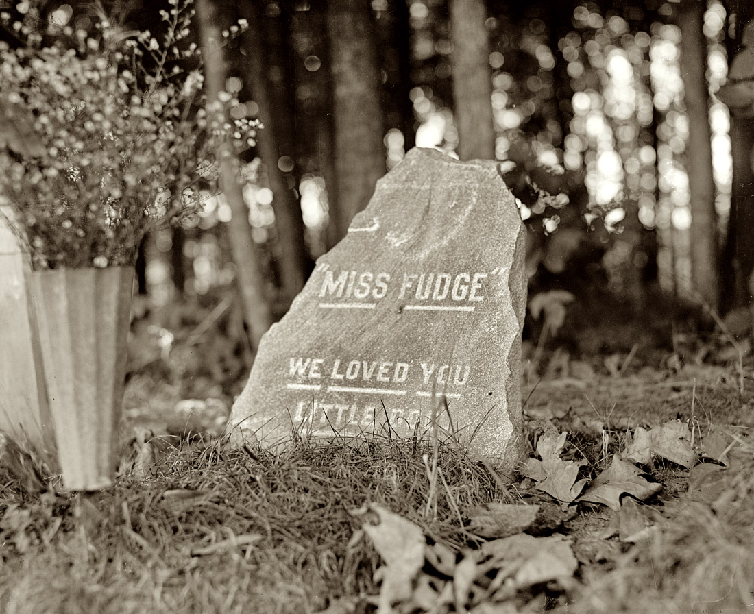 1921. "Dog cemetery, Miss Logan's dog." View full size. National Photo Co.