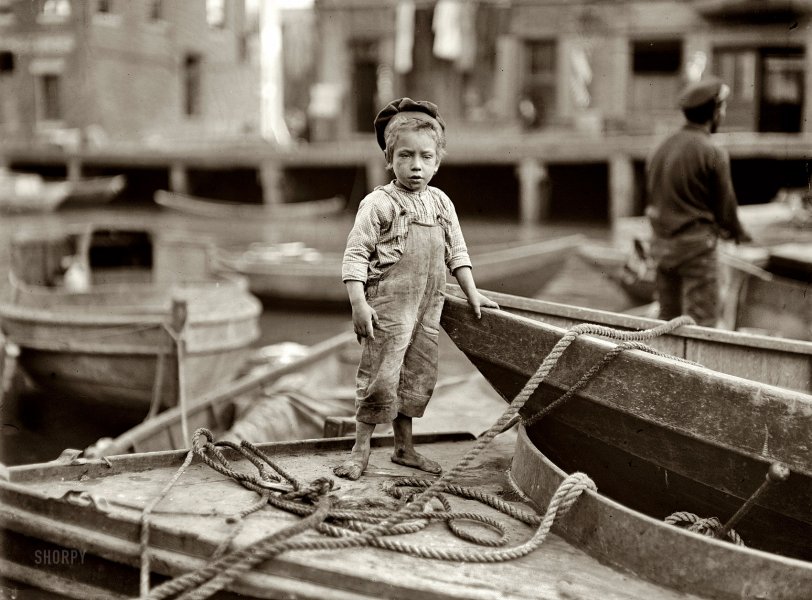 Sea Urchin: 1909