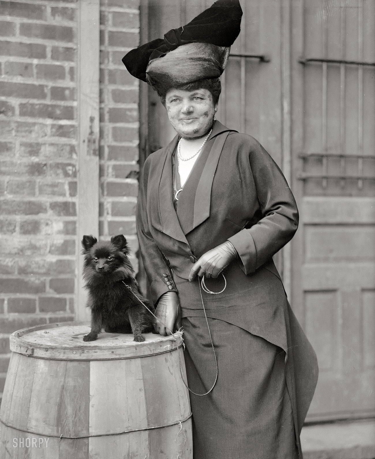 1915. "Mrs. H. Morgan Hill, Dog Show." Another photo from the Washington dog show series of pictures. If you crossed William Wegman and Richard Avedon, this might be the stylistic result. Harris & Ewing glass negative. View full size.