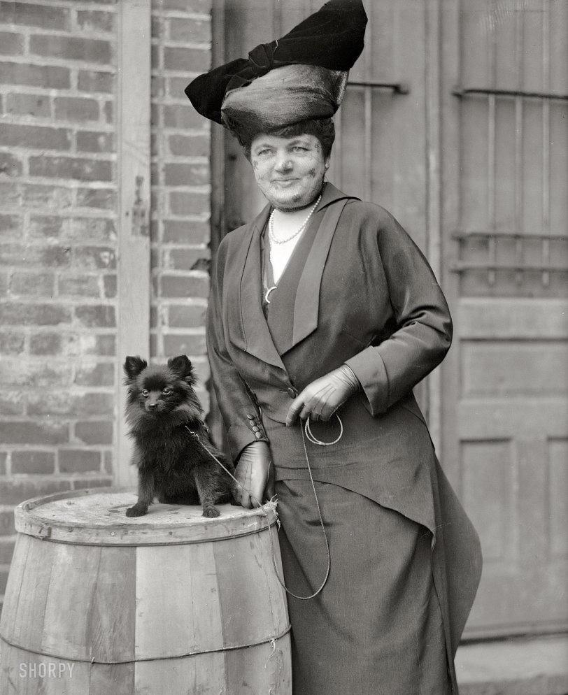 1915. "Mrs. H. Morgan Hill, Dog Show." Another photo from the Washington dog show series of pictures. If you crossed William Wegman and Richard Avedon, this might be the stylistic result. Harris &amp; Ewing glass negative. View full size.
