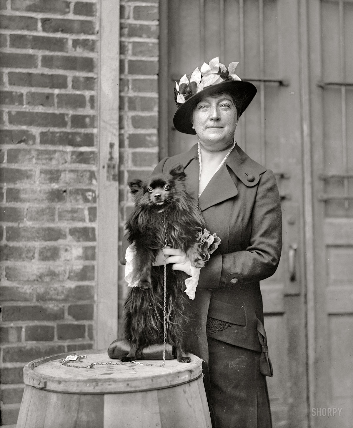 1915. "Dog show. Mrs. Henry C. Corbin." Another entry from H&E's series showing matrons, misses and their mutts at the Washington Kennel Club dog show of April 1915. Harris & Ewing Collection glass negative. View full size.