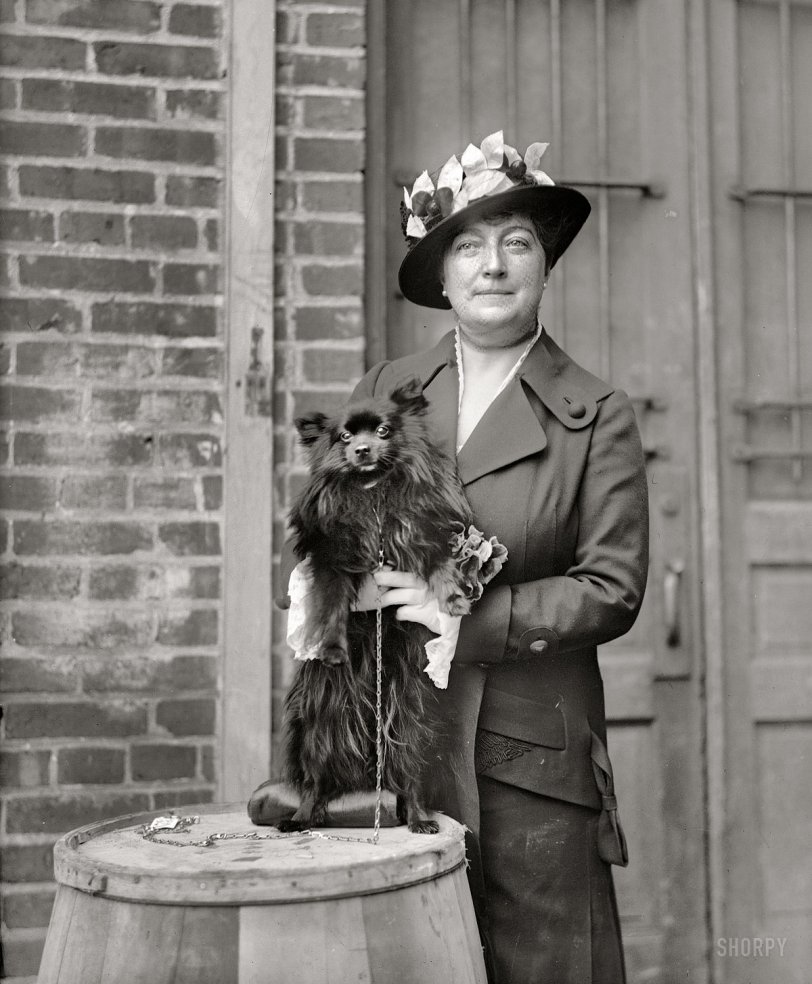 1915. "Dog show. Mrs. Henry C. Corbin." Another entry from H&amp;E's series showing matrons, misses and their mutts at the Washington Kennel Club dog show of April 1915. Harris &amp; Ewing Collection glass negative. View full size.
