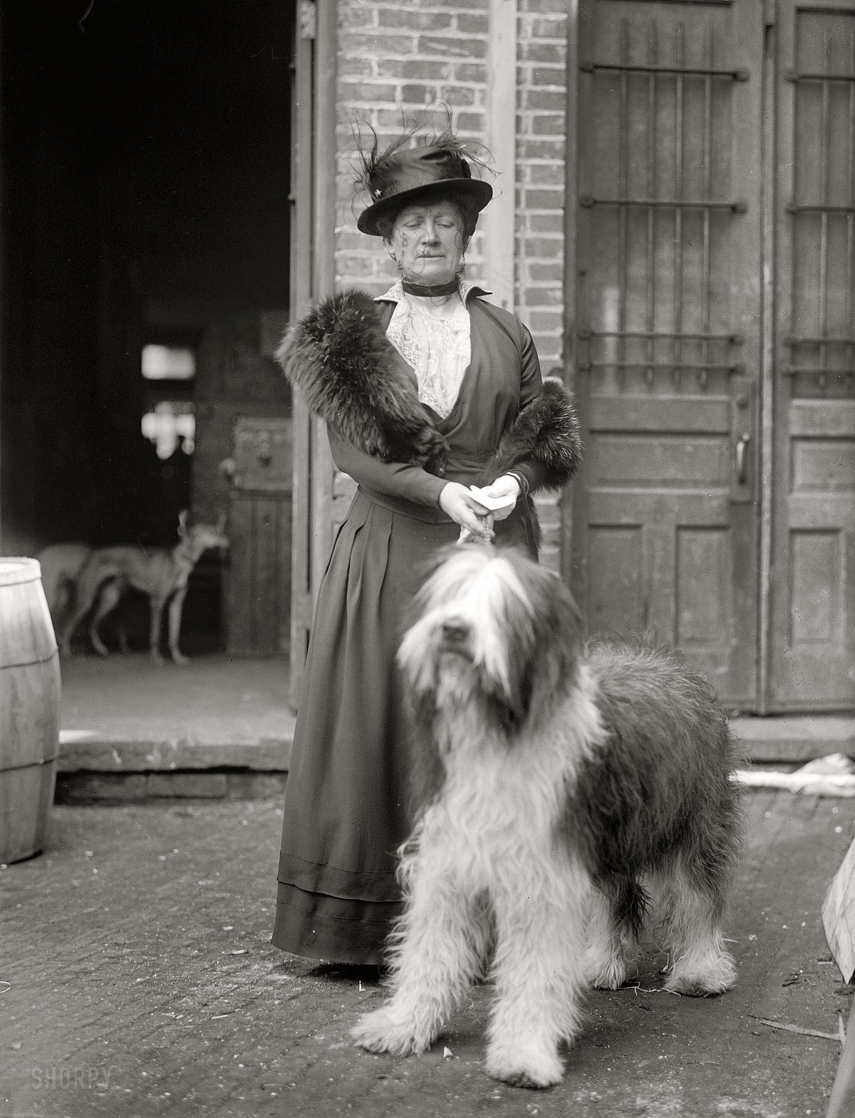 "Miss Mary E. Patton. Dog Show, 1915." One of many images from the Washington dog show of 1915 showing fancy canines and their even fancier owners, all of them female for some reason. Harris & Ewing Collection glass negative. View full size.