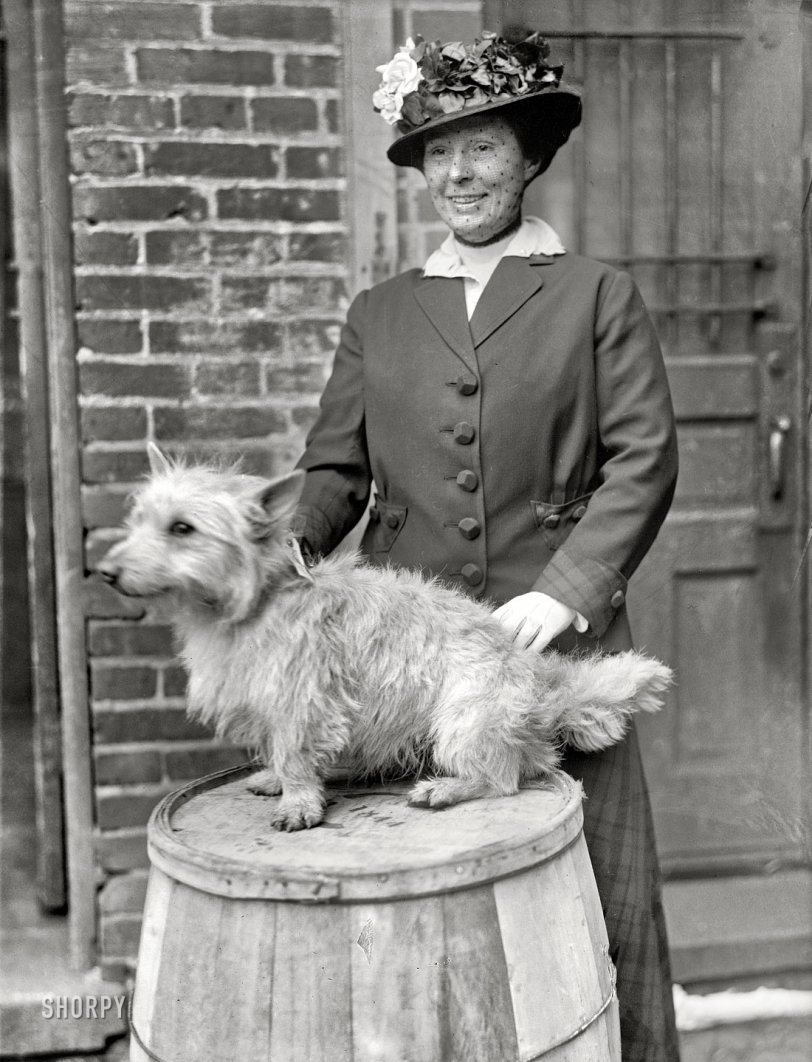 Washington, D.C., 1915. "Dog show." The happy couple, looking bright-eyed and bushy-tailed. Harris &amp; Ewing Collection glass negative. View full size.
