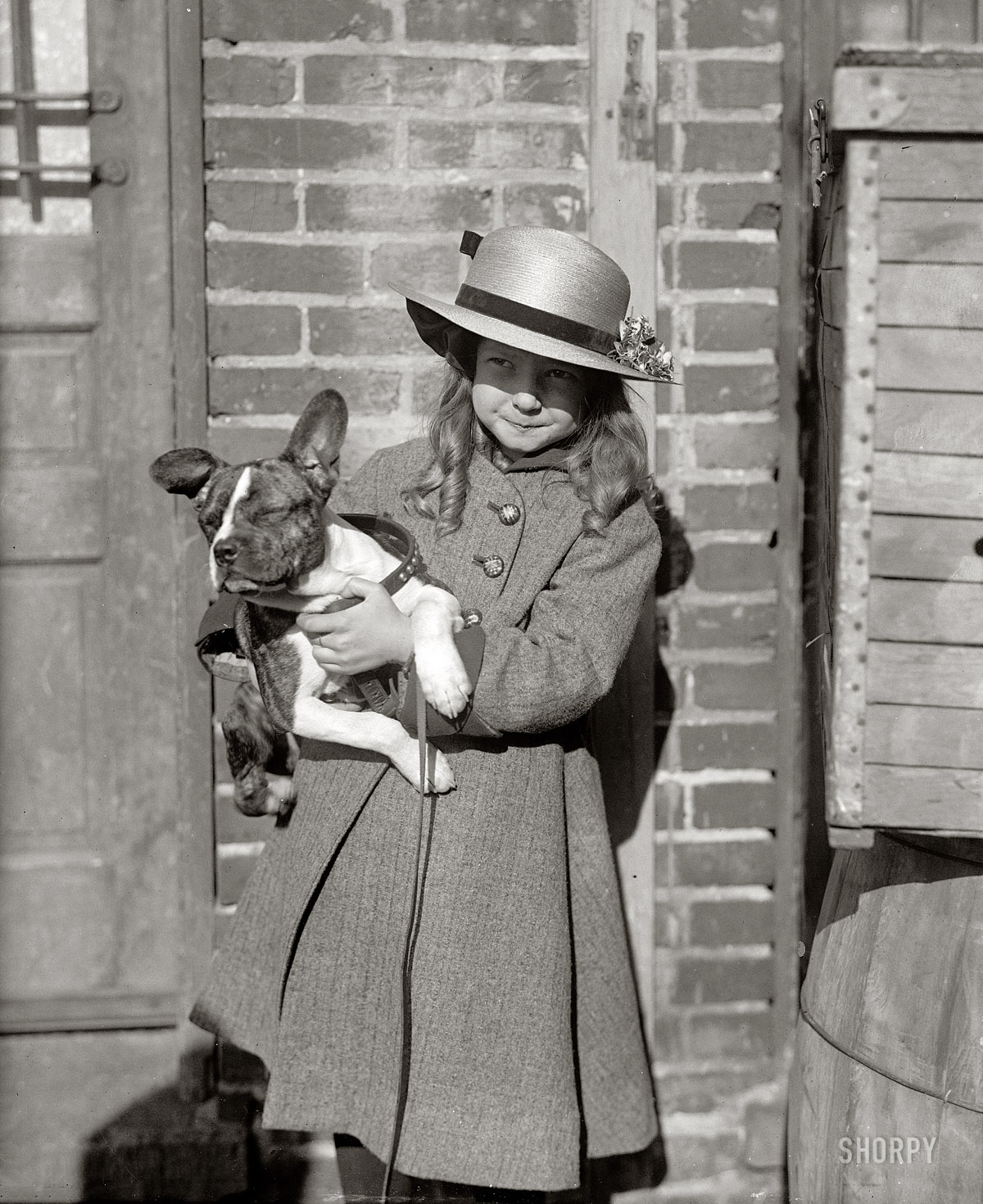 "Dog Show. Miss Rochester, 1915." Harris & Ewing Collection. View full size.