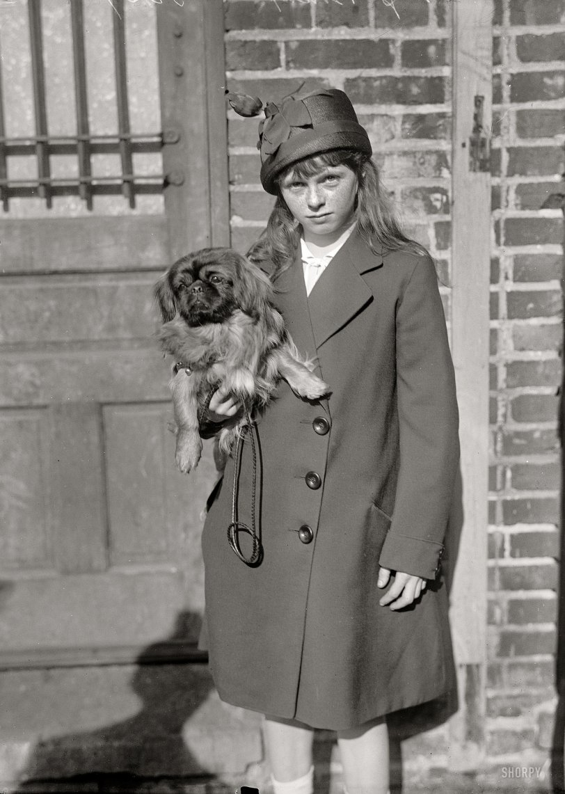 Washington, D.C. "Dog Show, 1915. Mrs. Blanche Strebeigh Bonaparte." Dog owner Mrs. B. (this girl's mother) was married to Jerome Bonaparte, great-grandnephew of Napoleon. Harris &amp; Ewing glass negative. View full size.

