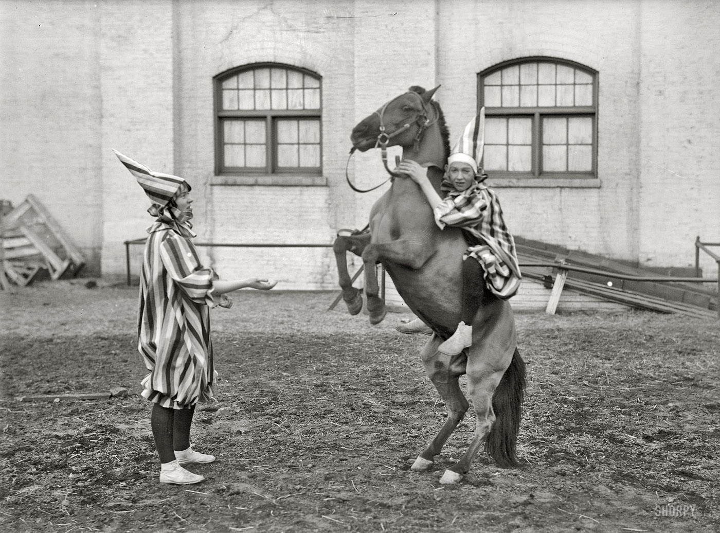 Washington circa 1916. "Society Circus. Clowns and horse." More derring-do from these madcap equestrians. Harris & Ewing glass negative. View full size.