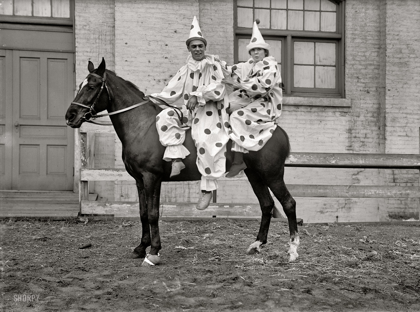 Circa 1916. "Society Circus. Clowns on a horse." The poor horse being the straight man in this act. Harris & Ewing Collection glass negative. View full size.