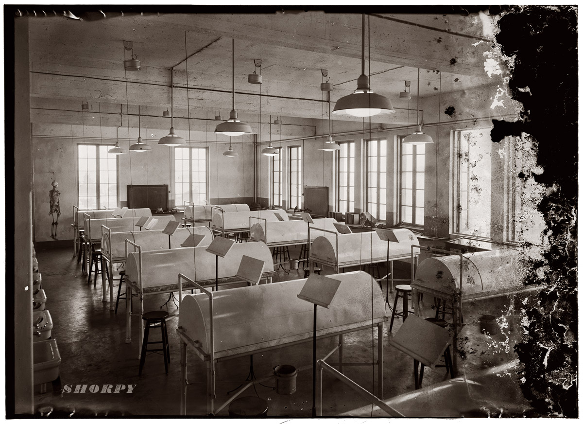 Medical classroom, American University of Beirut, Lebanon. Circa 1930s. View full size. (Warning - Not for the squeamish: See what's inside.)